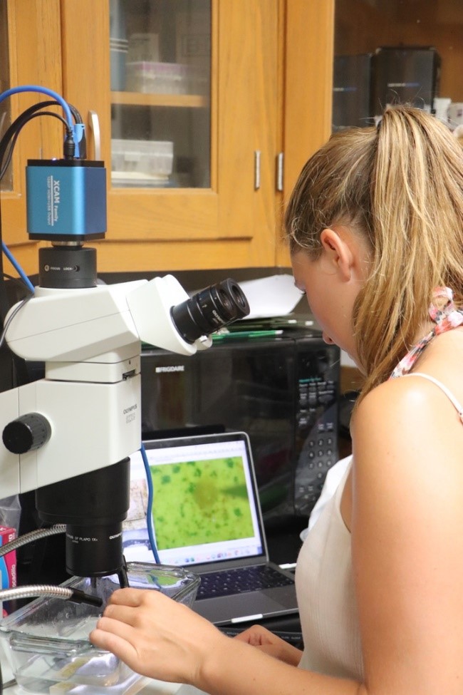 woman looking into a microscope